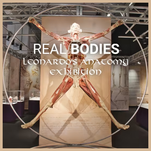 Real Bodies - Leonardo’s Anatomy Exhibition