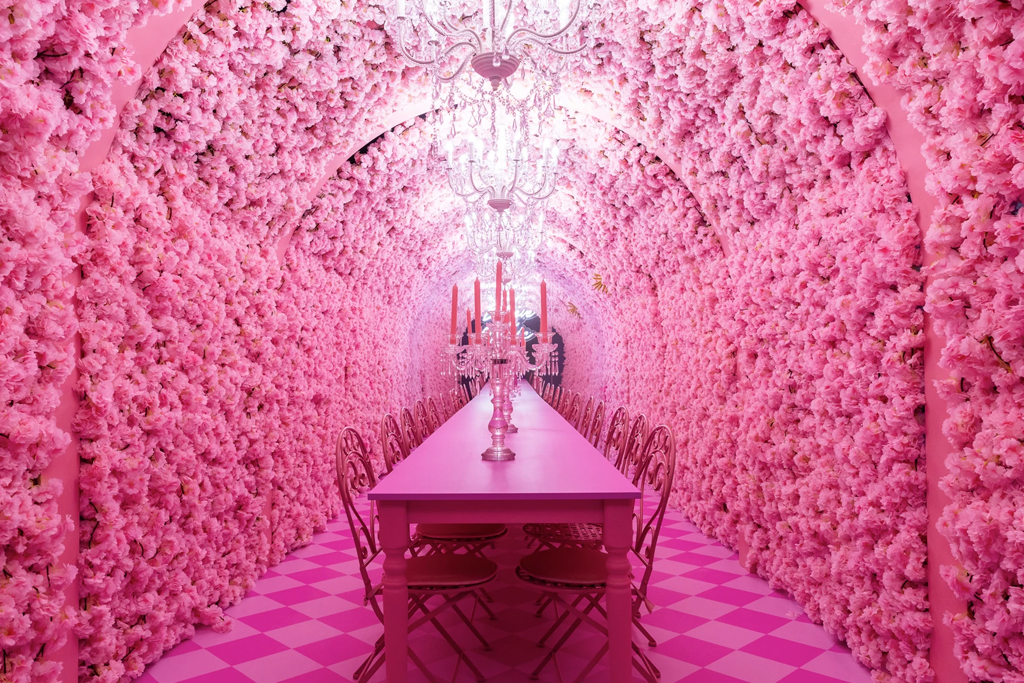 Museum of Dreamers - Tunnel di fiori