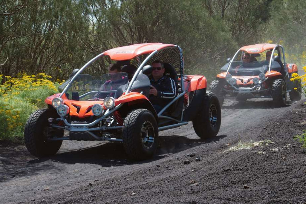 Catania: tour di mezza giornata in buggy sull'Etna