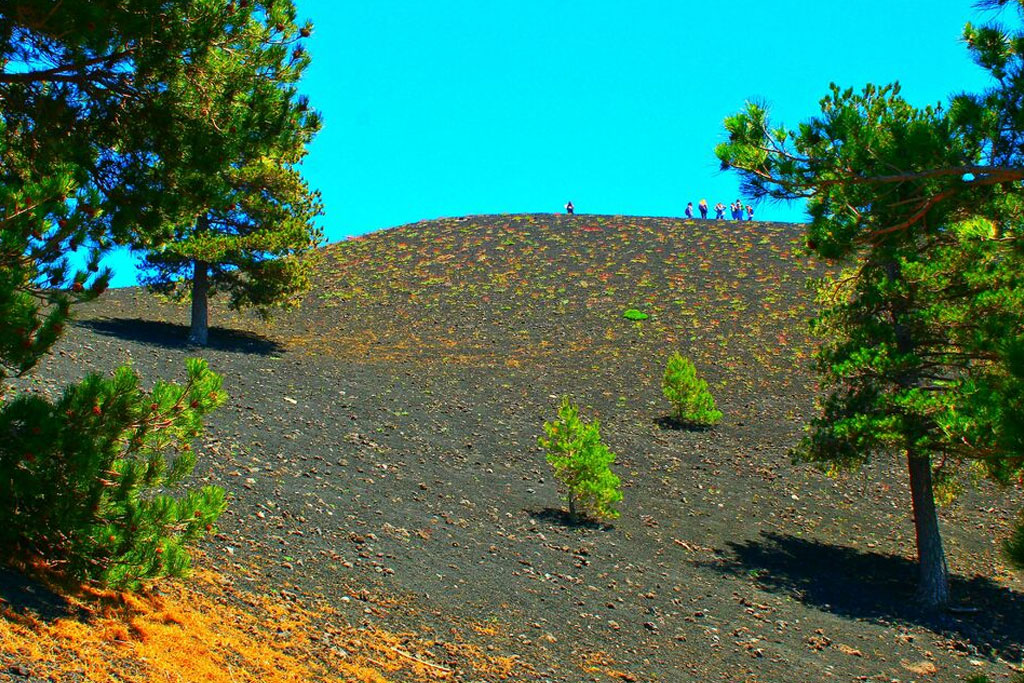 Sicilia: tour dell'Etna, vino e Alcantara