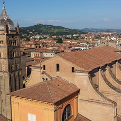 Bologna: tour della Cattedrale di San Petronio e terrazza panoramica