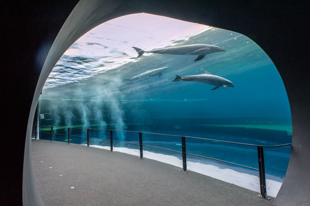 Acquario di Genova e casa di Colombo: biglietti d'ingresso