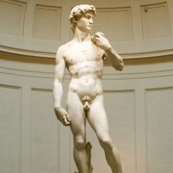 David di Michelangelo con ingresso programmato