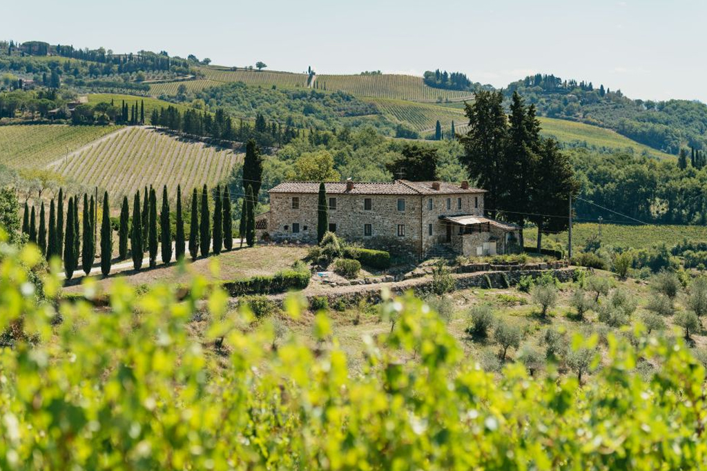 Chianti: tour delle cantine con degustazione da Firenze