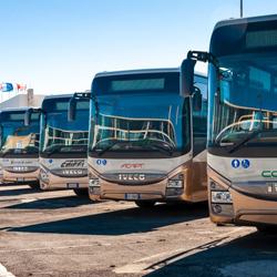 Aeroporto di Bari: transfer condiviso di sola andata per il centro di Matera